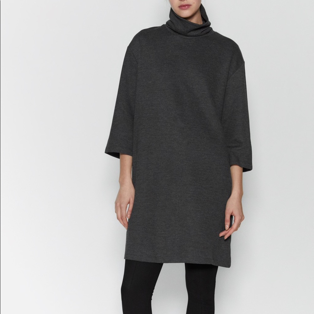 Zara Turtleneck Shift Dress - L